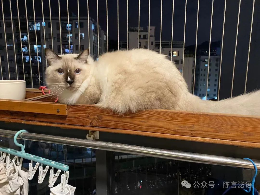 辣椒健身_健身小辣椒_健身小辣椒j3七秒视频公众号