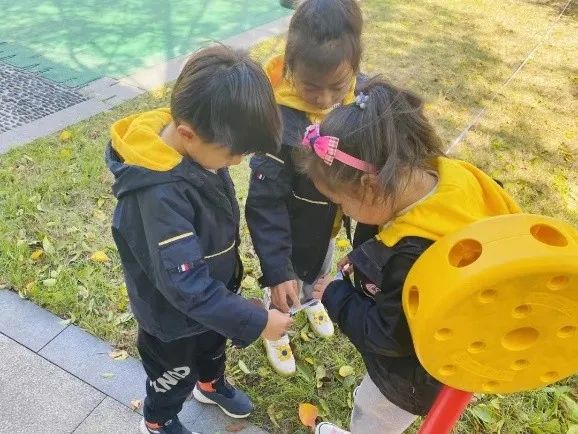 篮球装饰牌规则图片_篮球装饰品_篮球规则牌装饰