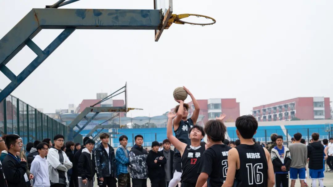 被罚出场的篮球规则_罚篮球出场规则图解_罚篮球出场规则是什么