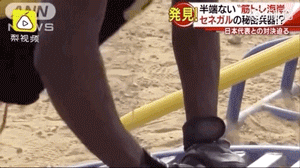肩胛骨健身_健身肩胛骨肌肉酸痛_肩胛骨健身