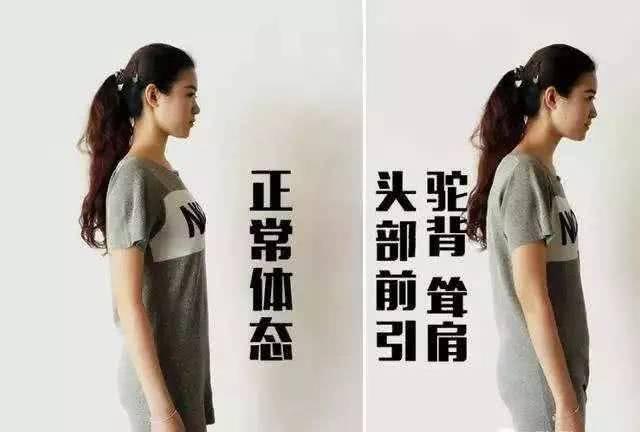 长高健身操6到12岁视频_健身怎么长高_长高健身课